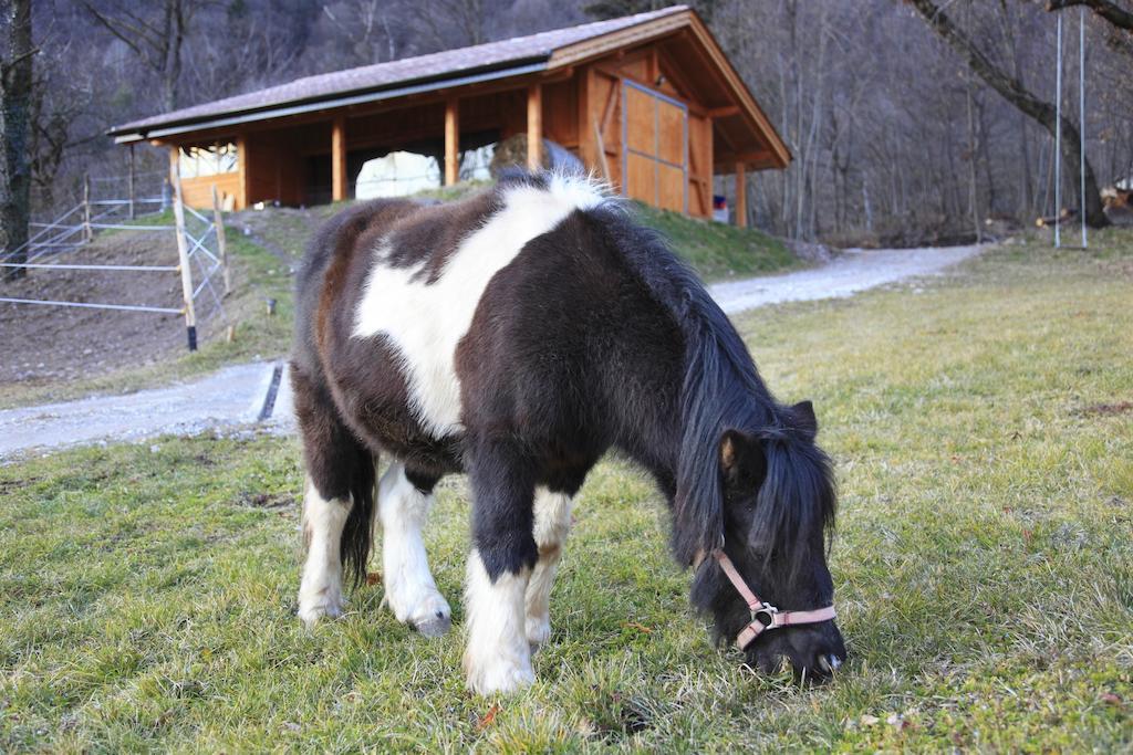 Storo Agritur La Polentera旅馆 外观 照片
